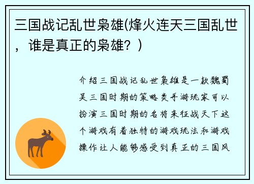 三国战记乱世枭雄(烽火连天三国乱世，谁是真正的枭雄？)